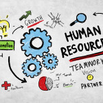 Unveiling the Crucial Role of the Human Resources Department in Every Company